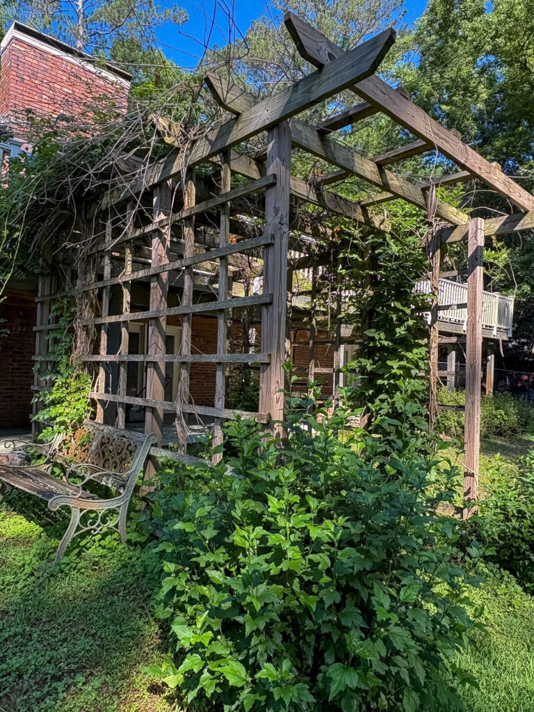 We inherited a Florist’s garden- here’s how we’re bringing it back to life